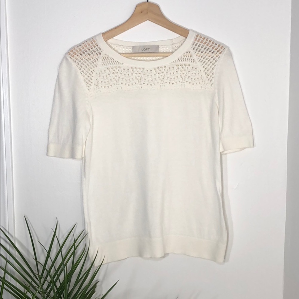 🍁🌲🍂 Anne Taylor Loft White Knit Top 🍂🌲🍁